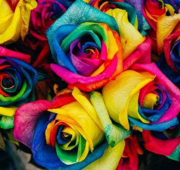 O que esperar das tendências de cores para 2025?